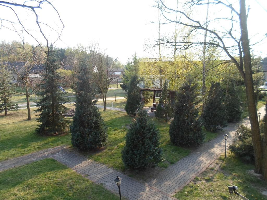 Center Angelos Bronków Rom bilde
